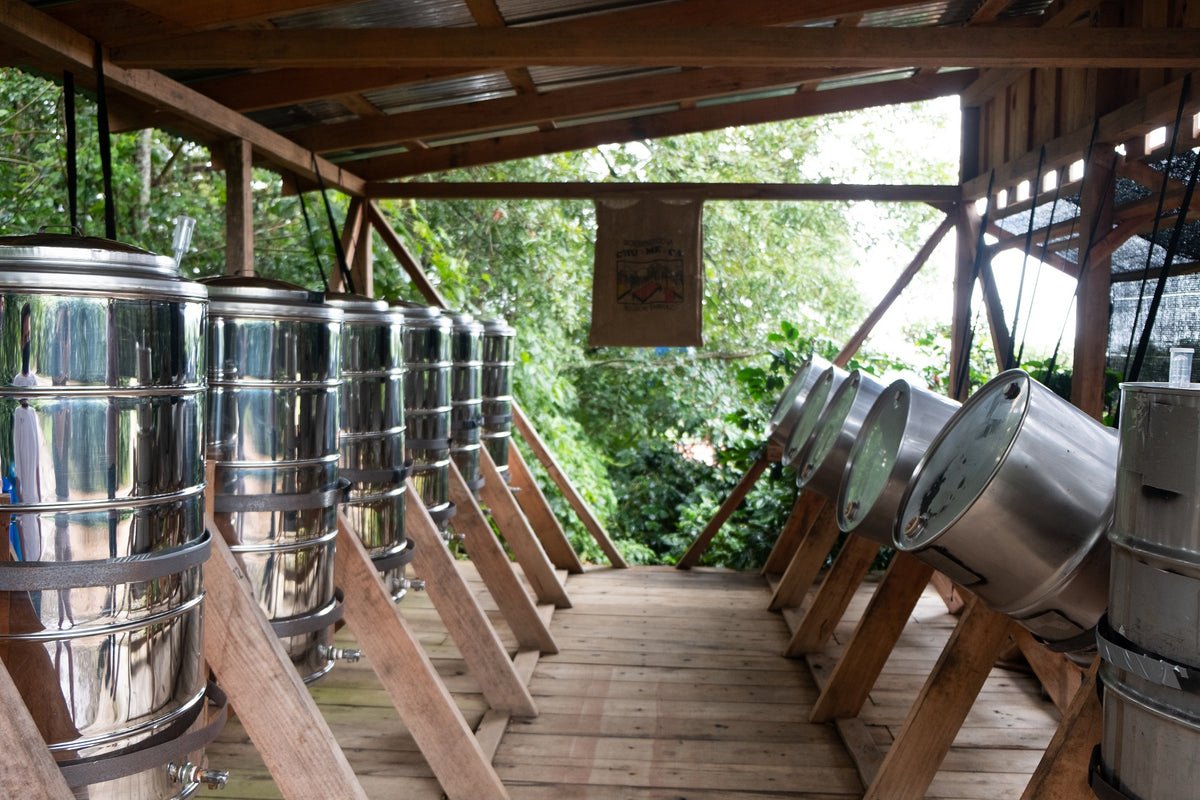 Fermentation Process of Anaerobic Coffee