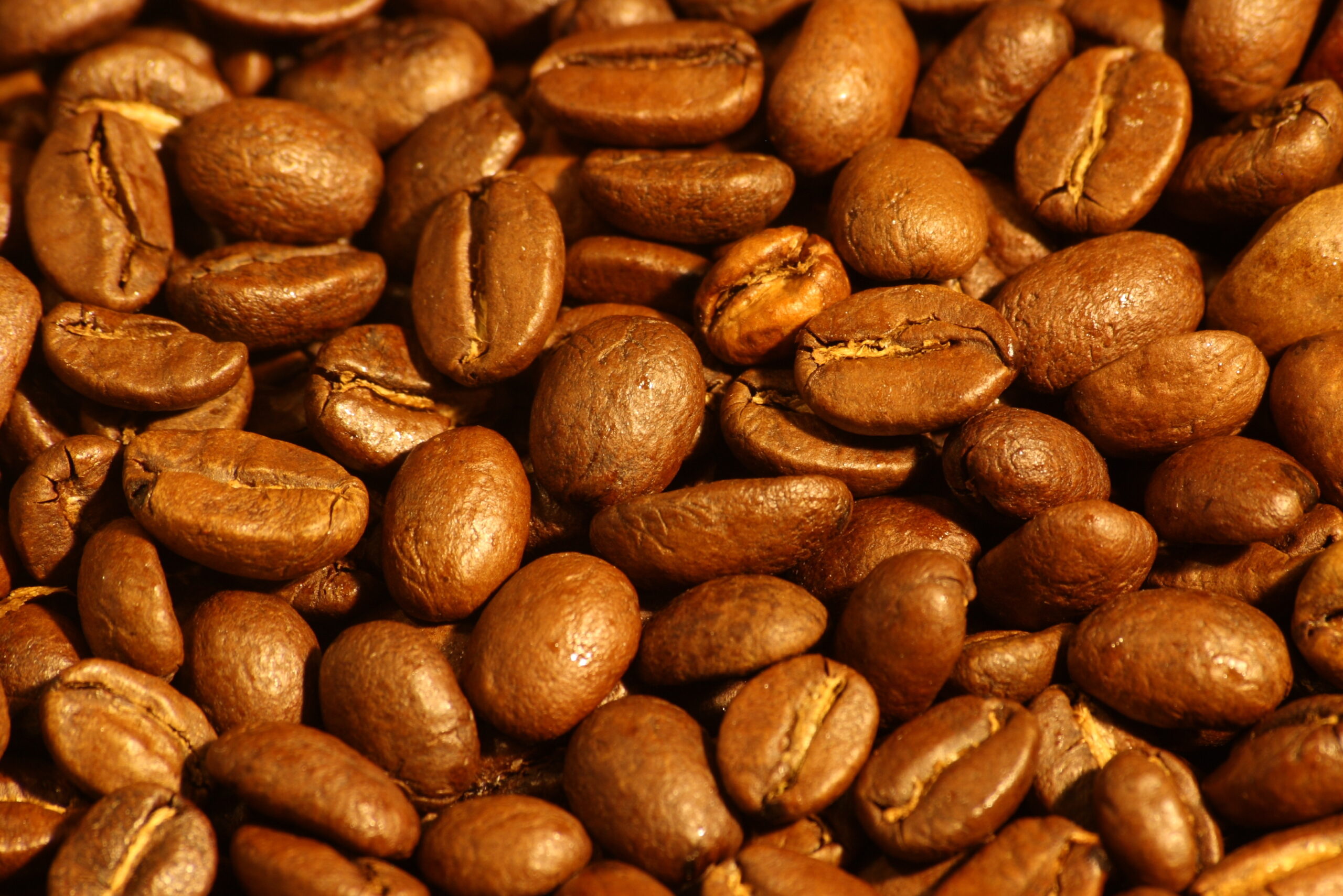 Medium Roast Coffee